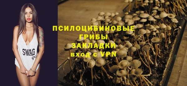 ешки Аркадак