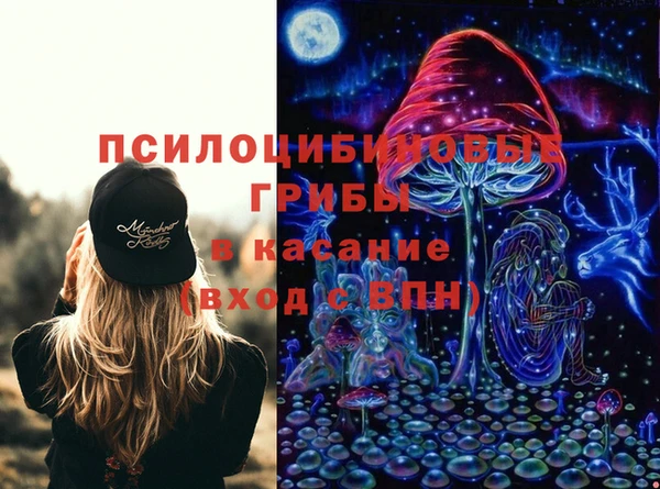 амф Арсеньев