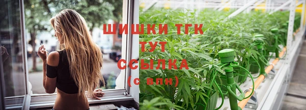 амф Арсеньев