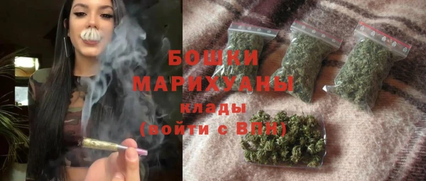 ешки Аркадак