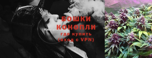 ешки Аркадак