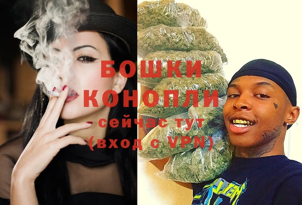 ешки Аркадак