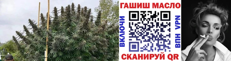 Дистиллят ТГК THC oil  Аркадак 