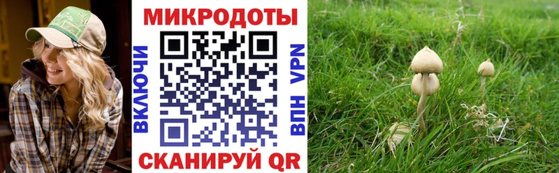 Галлюциногенные грибы прущие грибы  Аркадак 